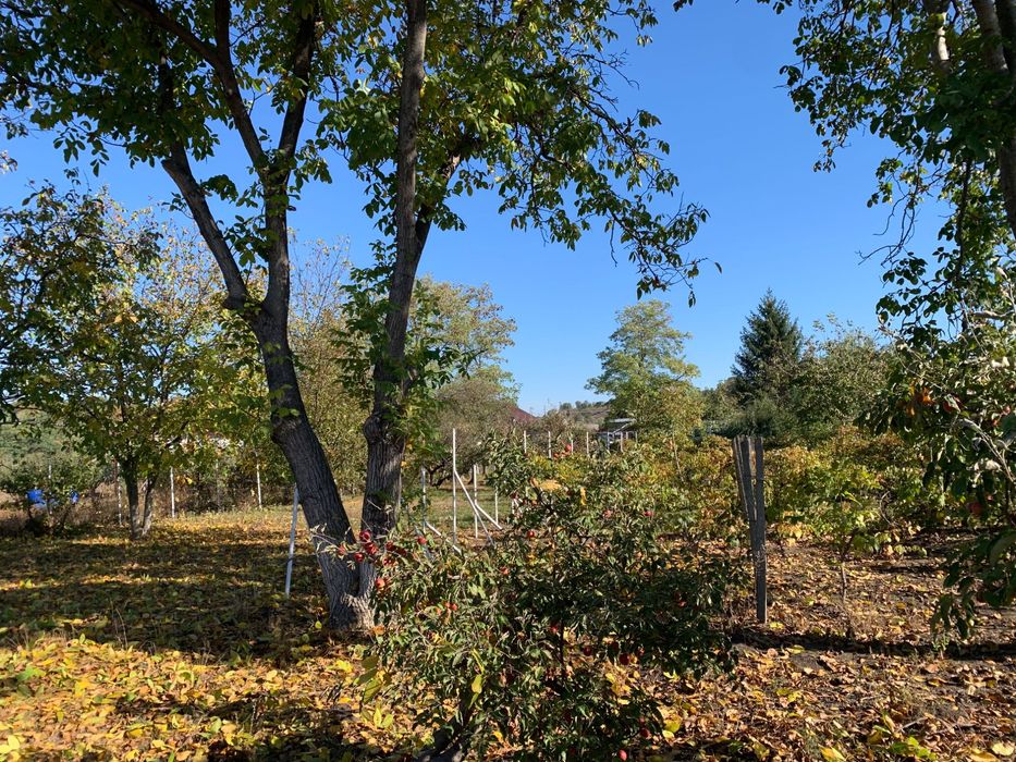 teren și casă bătrânească