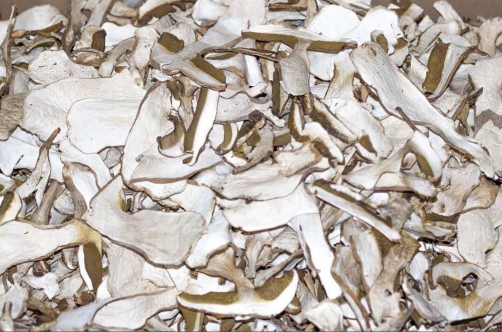 Hribi/Pitoance uscati calitatea 1/2 100% BIO