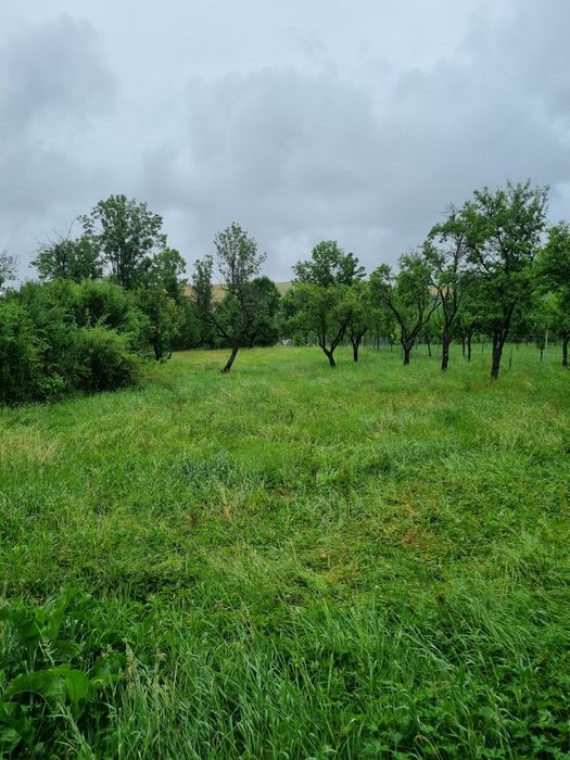 Vând casă în Calatele
