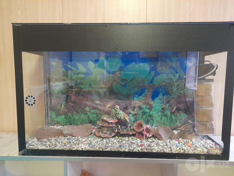 Akvarium 150 litr kaplekt xammnarsalri bn sotiladi