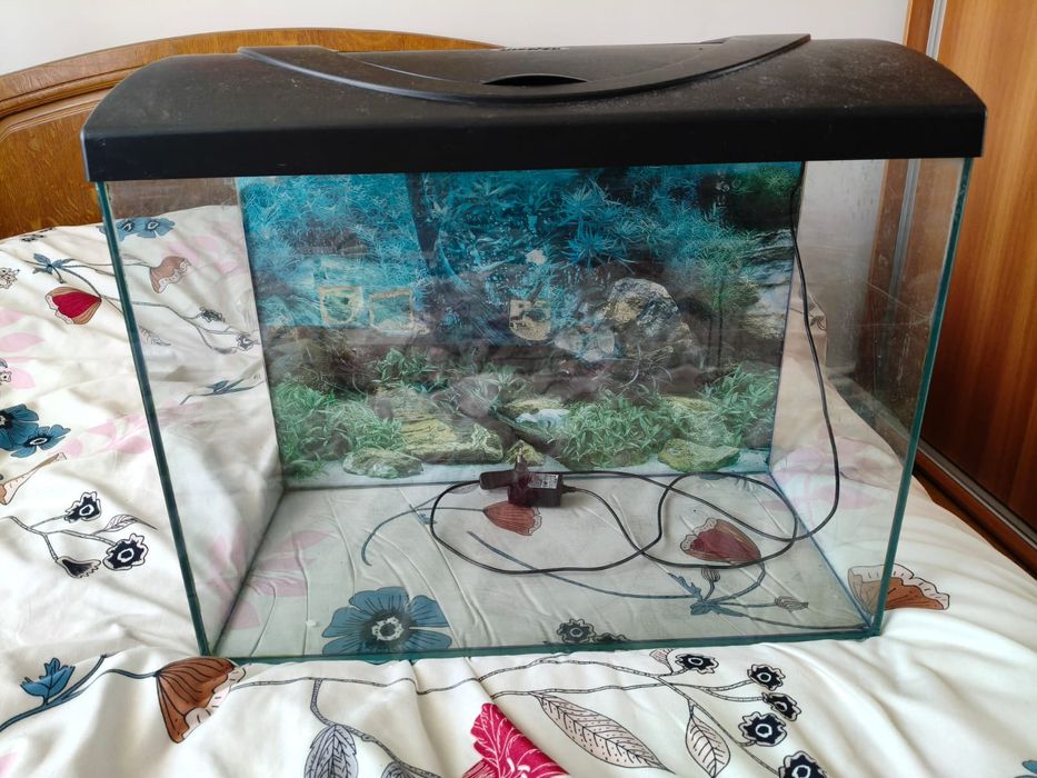 Acvariu 80L + accesorii