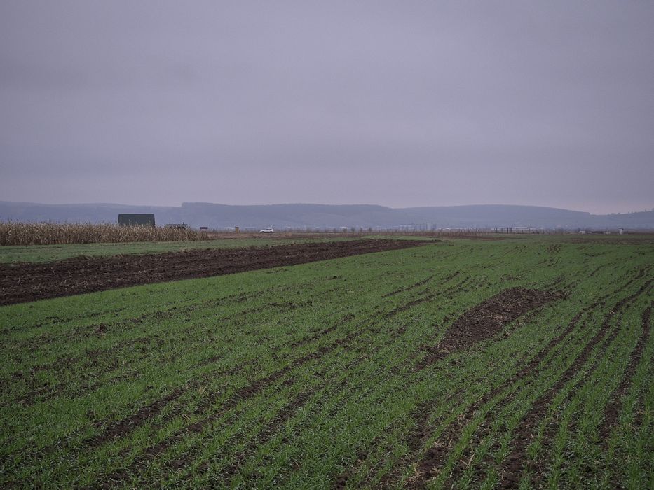 Vând teren GURA RAULUI