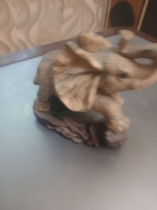 Средно голямо слонче