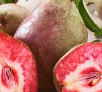 Par Busuioace Cu Miez Rosu