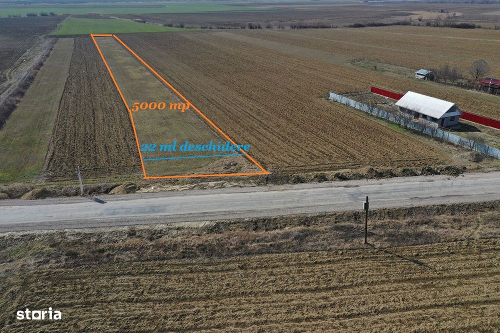 Teren Prajesti ursoaia 5000 mp 22 ml Deschidere  Neg