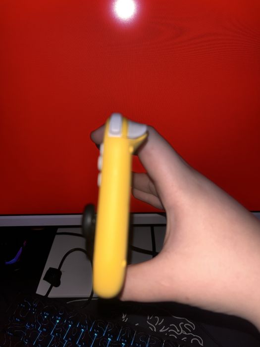 Nintendo switch lite (прошитый)