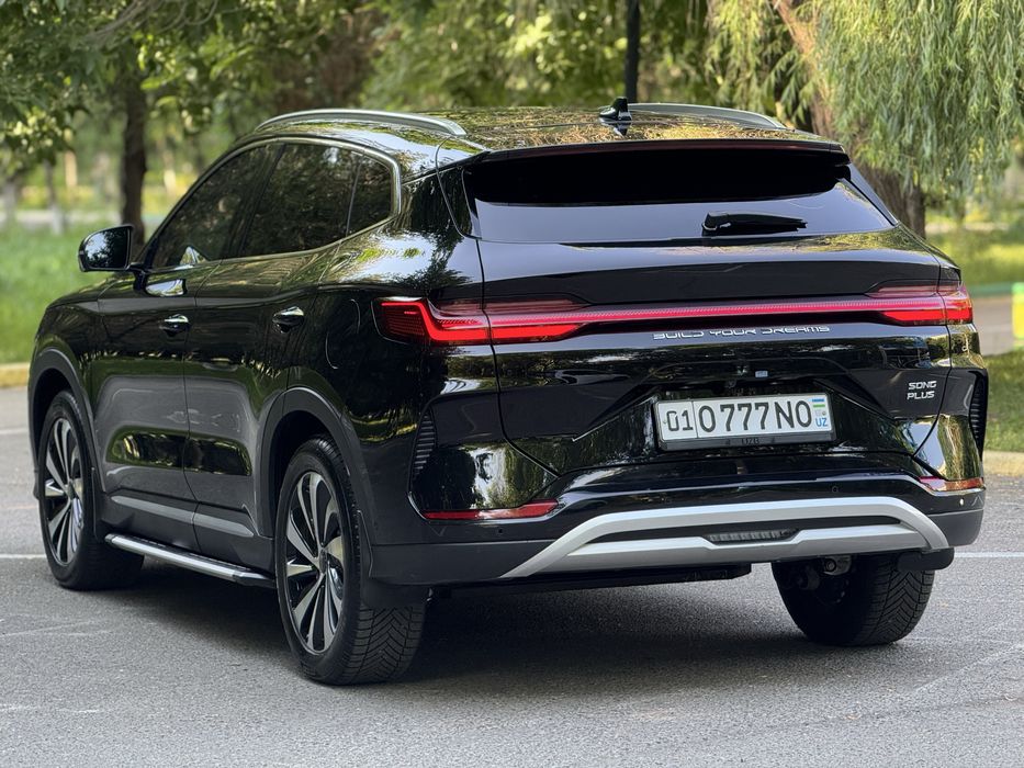 Byd song plus champion 605