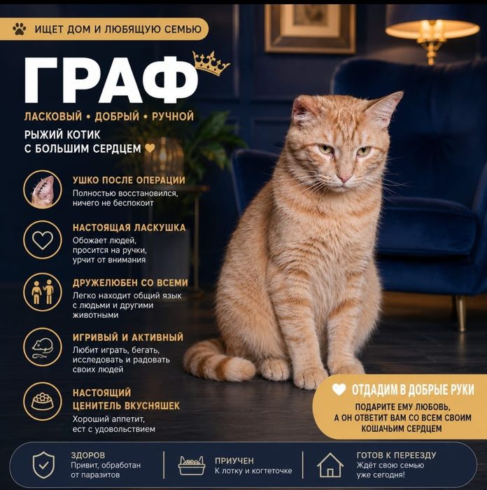 Домашнее Создание