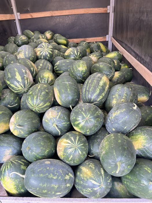 De vanzare pepene verde si galben