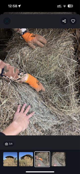 Продам сено тюками