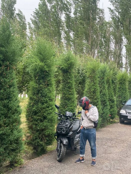 Moto Tank Sotiladi ozgina xarajatli ishi bor