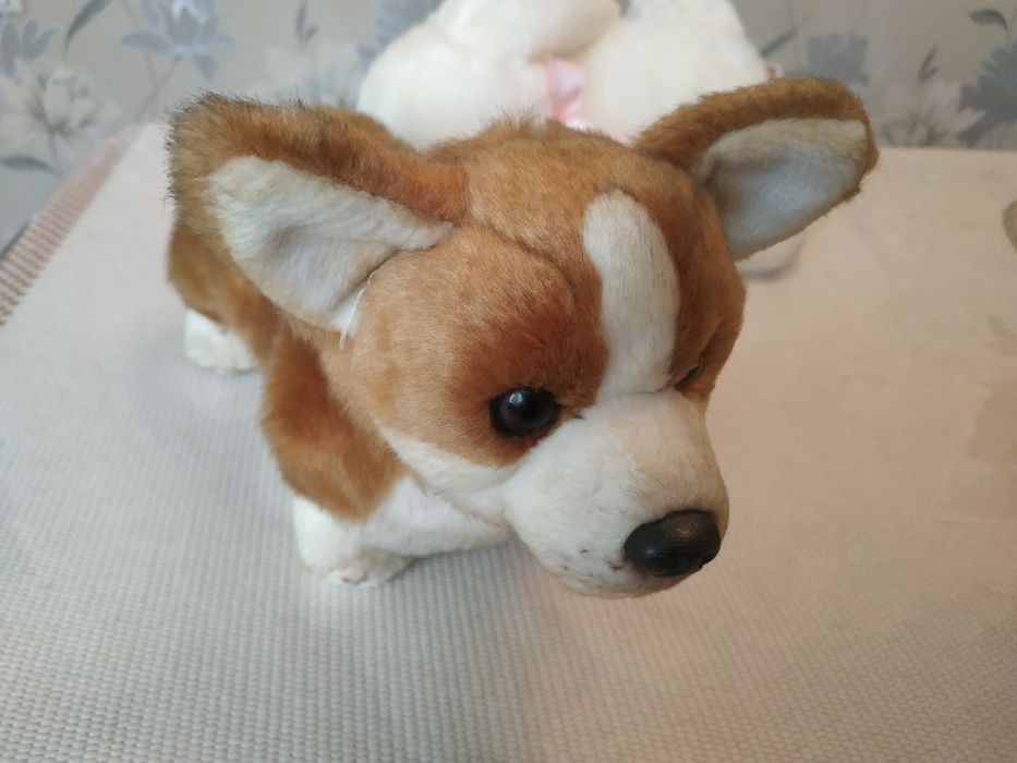 Продаю.мягкую игрушку собачка.маламут