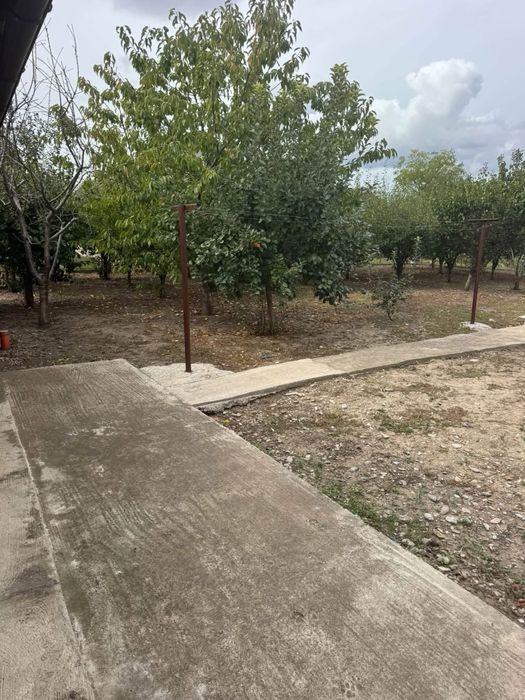 Casă de vânzare în Tomsani , suprafață 110 mp, suprafață teren 800 mp, zonă liniștită , utilități , gaze , canalizare , apă și curent