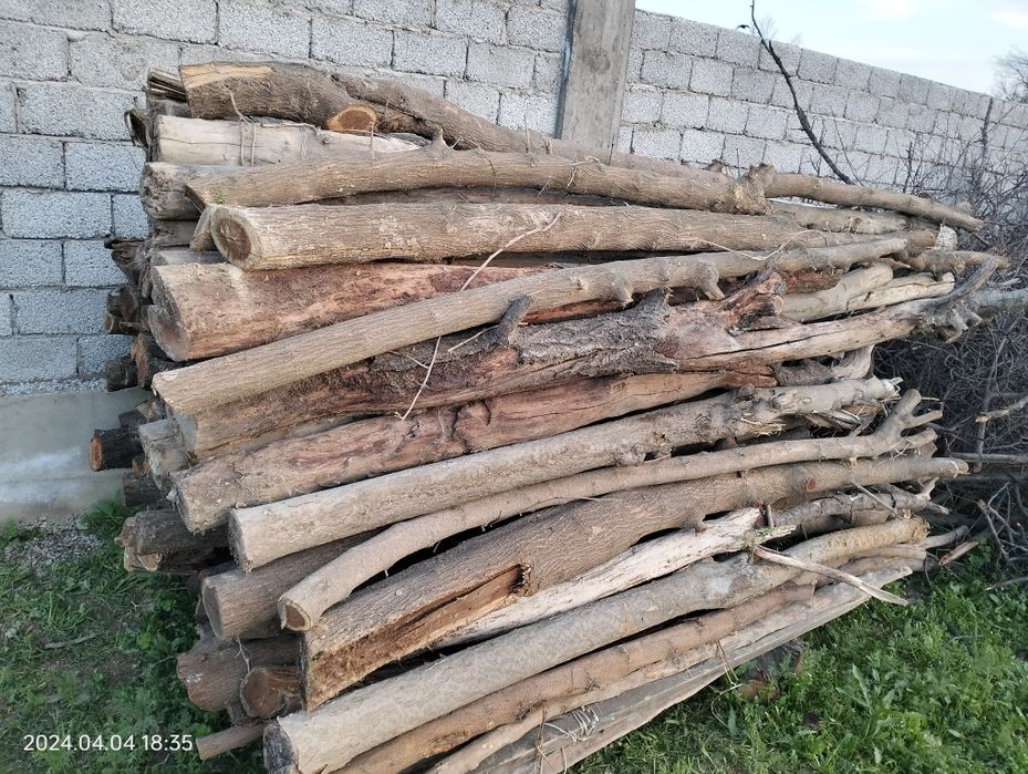 Стоика ұзындығы екі метірден асады