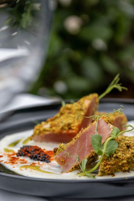 Фотоапарат Canon 250D