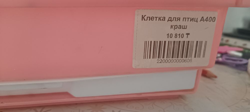 Волнистый попугай