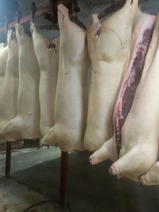 Мясо свинины с доставкой!