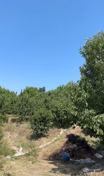 Progress (Fayzobod)dan Dacha Sotiladi