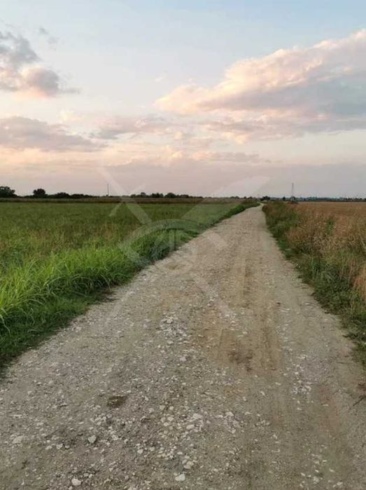 Продава се Парцел в с. Златитрап, Област Пловдив - 10540 кв.м за 27 €/кв.м - Снимка #1