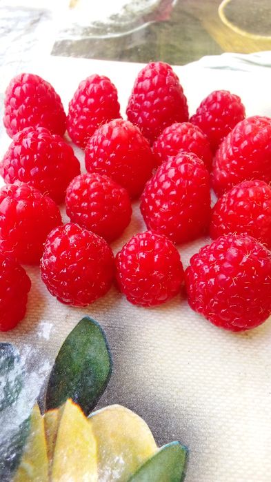 Kuzgi mavsumda MALINALAR pishdi