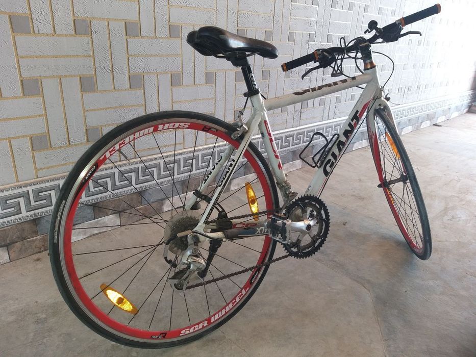 Velosiped GIANT (sporting. professional)