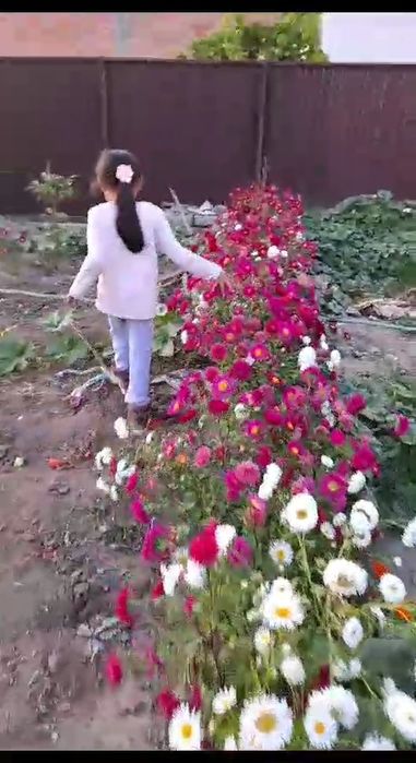 Продам жастар 1. времянку люкс