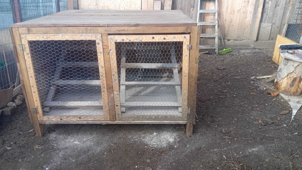 Vând/schimb prepelițe cocoși cotețe