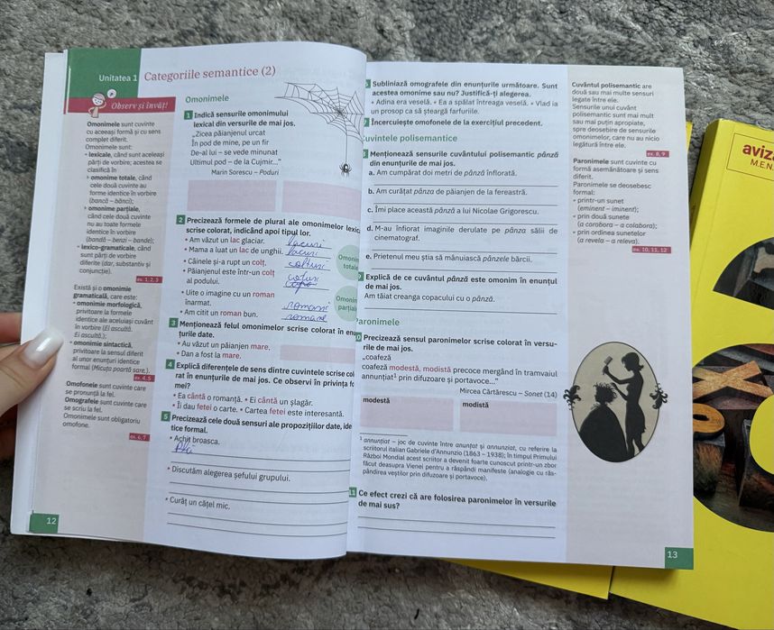 Cărti de gramatica- clasele a VI-A, a VII-A si a VIII-A