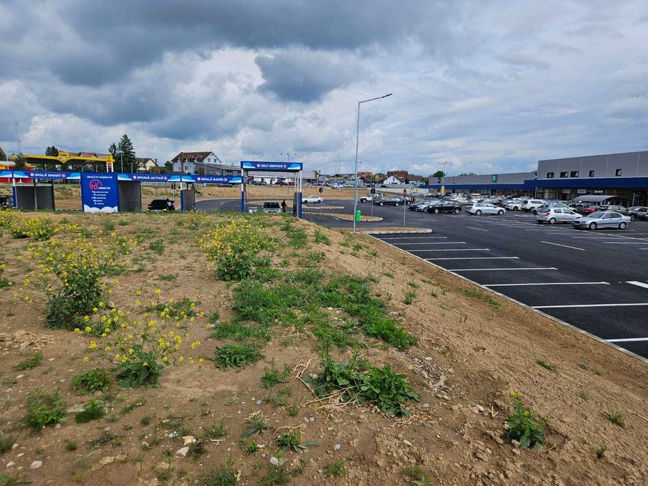 Teren de închiriat - Beius – 1.871 mp – Lângă LIDL & Centru Comercial