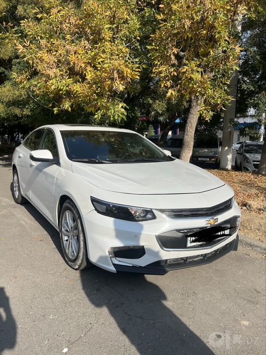 Malibu2 2018 oppoq rang