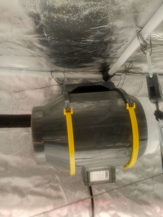 Гроубокс для выращивания растений