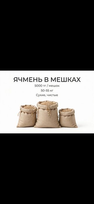 Ячмень в мешках продам