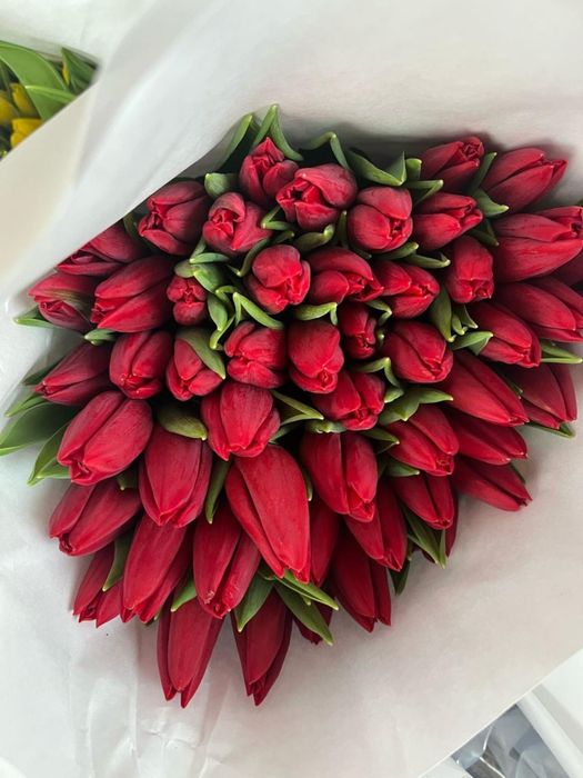 тюльпаны Астана высококачественные