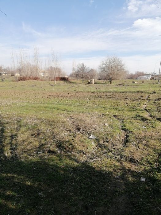 Yer sotiladi nurobod tumani boshquduq qishlogida suvli yer sotiladi