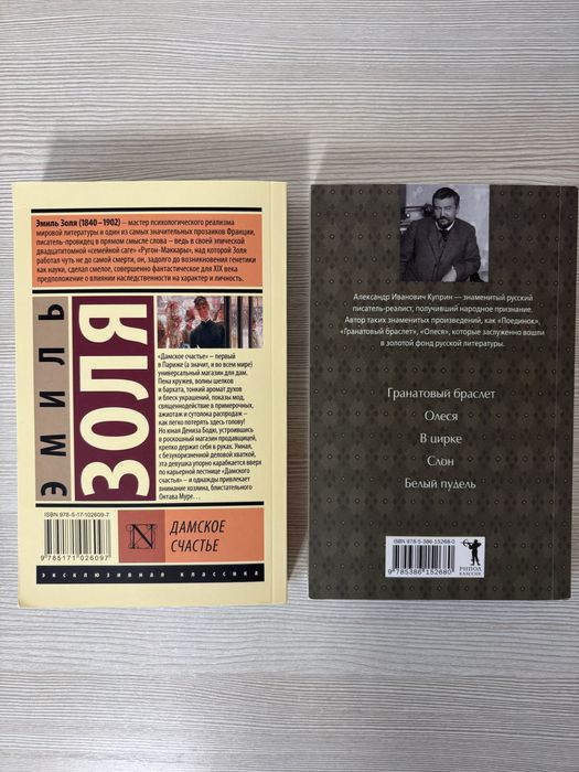 2 книги, обе вместе за 500