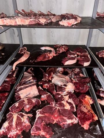 Согым.Соғым сатылымда.