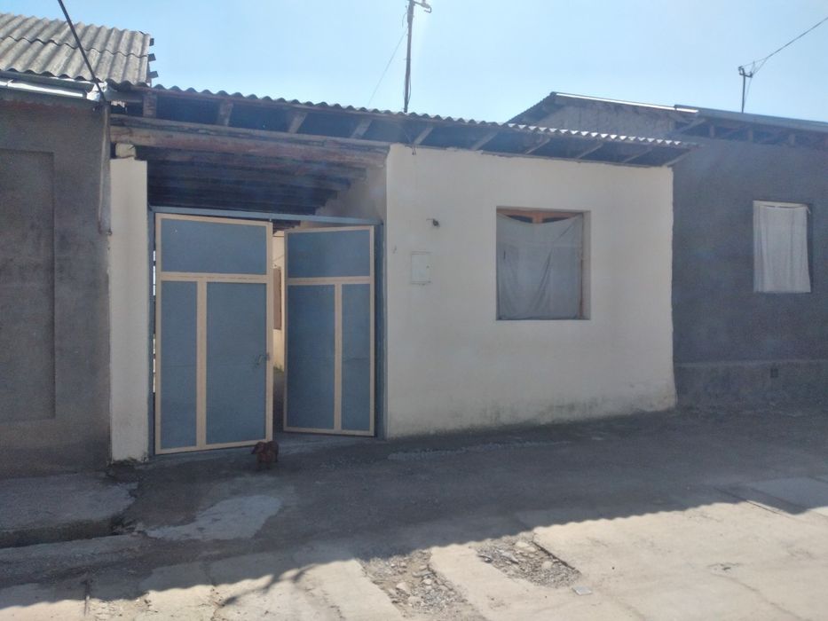 Soʻrchni sotilad narxini kelshmiza