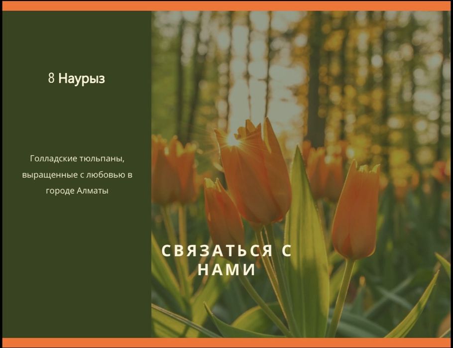 Тюльпаны на 8 марта