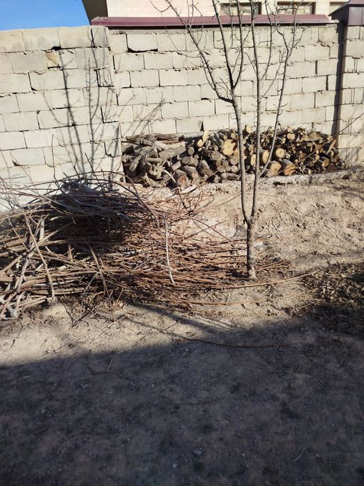 O'tin sotiladi, tayyor maydalangan