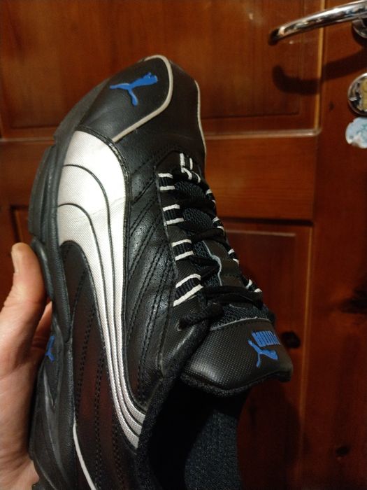 Puma 43нм. 28,0см.