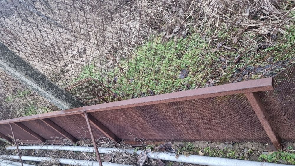 Tavite floarea soarelui set complet!