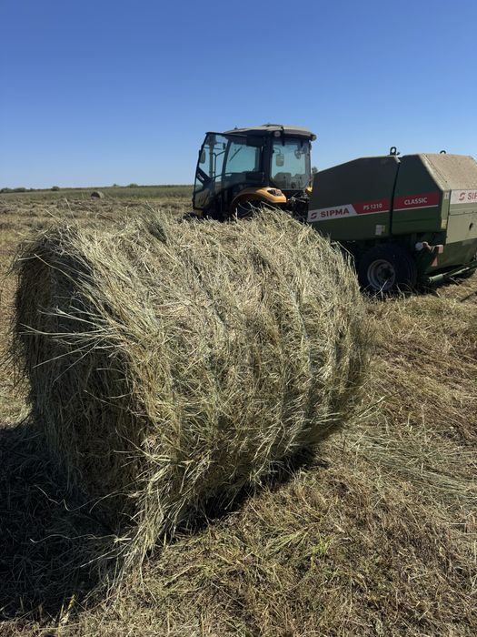 Продам сено луговое в рулонах