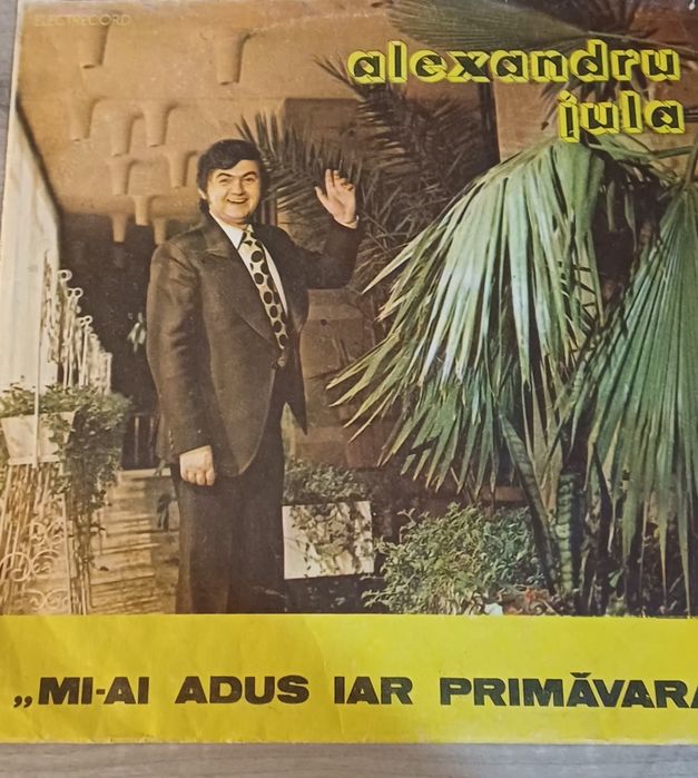 Viniluri muzica ușoară
