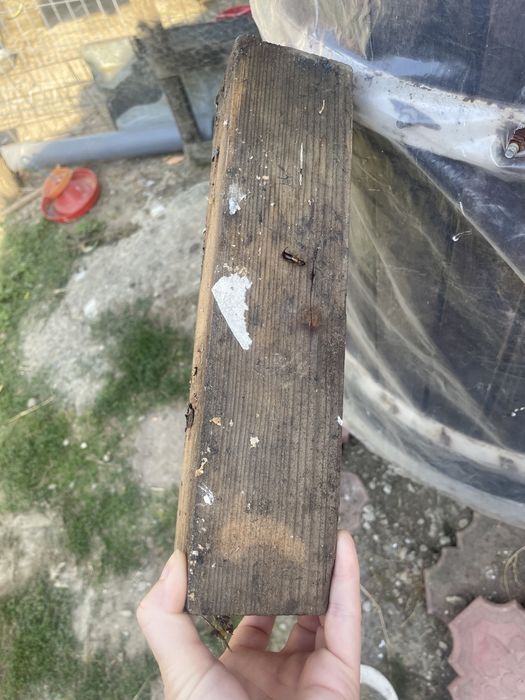 De vanzare tasc vechi dar functional