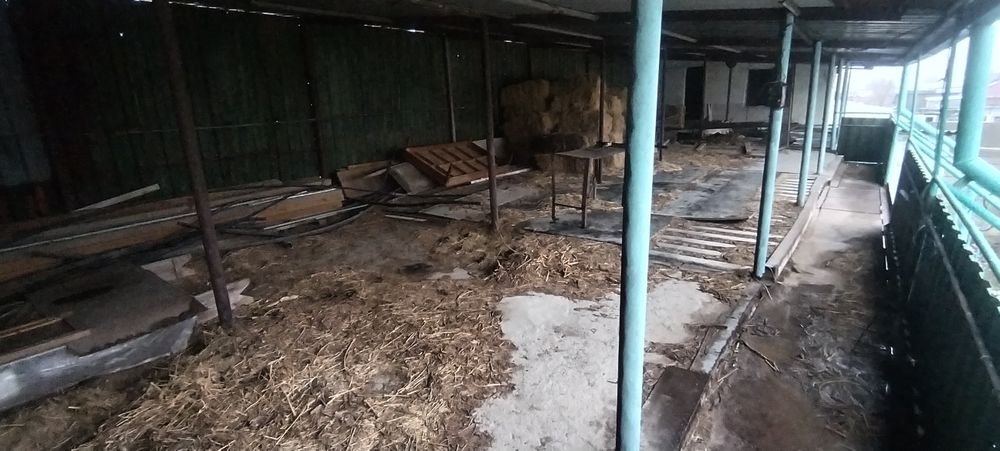 Б/ж оазисда дача сотилади хамма шароити бор.