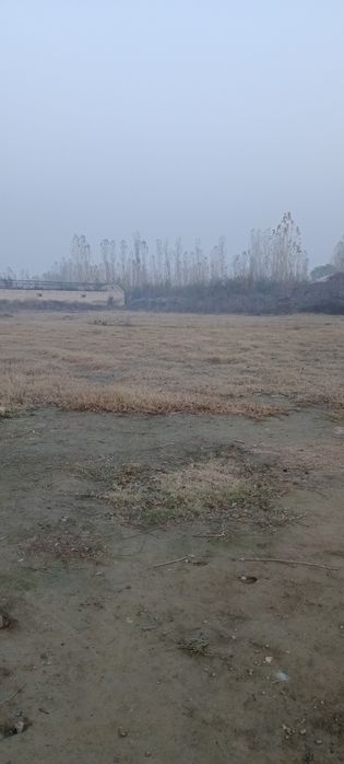 Noturar yer sotiladi