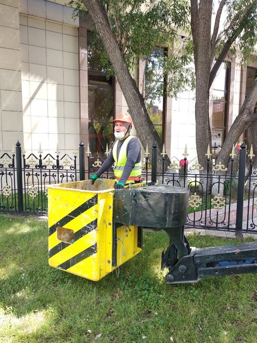 Спил деревья срочно.