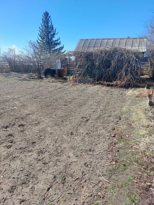 Продам дачный участок