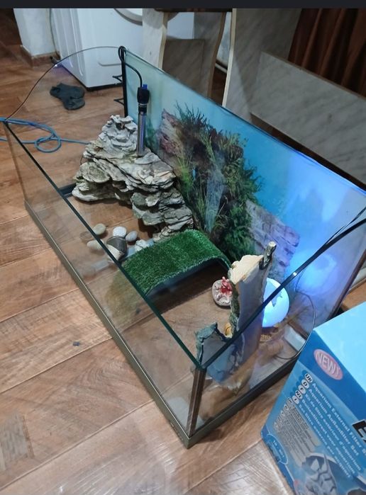 Терариум - Аквариум