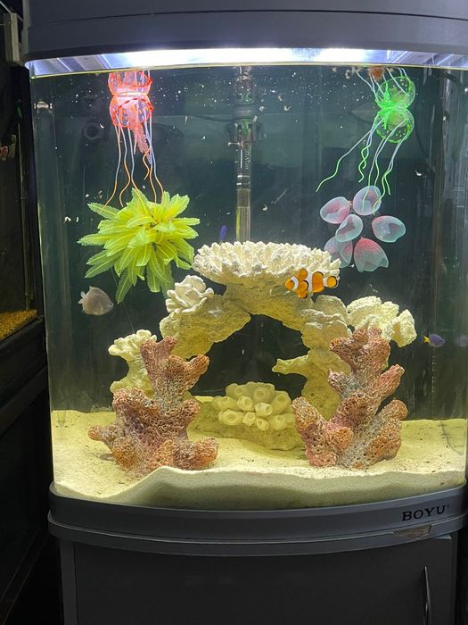 В морской аквариум  90 л